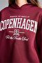 Oversize Hooded Printed Thick Sweatshirt I3057Ax26Au - 5