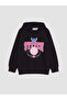 Esvab • Modern & Distinctive Hooded Popular Comic Hero Themed Printed Sweatshirt