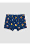 Esvab • Modern & Distinctive Paw Patrol Printed Boys' Boxer Briefs - 2