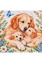Panel Patterned Baby Blanket Double Layer Interlock 100% Cotton 85X85 cm - 5