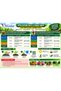 Eazyhilal Fertilizer Combo Pack 1kg, Complete Plant Nutrition with NPK 12-12-17, Humic Acid, Calcium & Urea, Plant Growth Fertilizer for Indoor & Outdoor Plants, Garden, Pots & Vegetables - 7