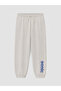 Esvab • Modern & Distinctive Sonic Licensed Men's Sweatpants