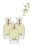 3 قطع Paradis Perfume 100مل