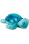 Turtle Projector - 2