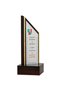Trofeu din plastic gravat - 3