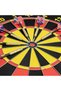 Professional Dartboard Set - 5