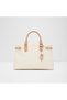 Hermynie Ladies Multi Satchel Bag