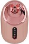 Rozita Hot & Cold Face Steamer | 240mL | 280W | One Button | UK Plug