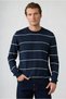 Crew Neck Regular Fit Striped Cotton Knitwear Sweater - 3