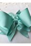 Mint Green Double Bow Ribbon Buckle 1 Piece - 2
