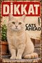 Caution There Is a Cat Cream Colored Cat Retro Metal Wall Sign 20X30 cm
