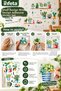 2 Sheets Adhesive Wall Sticker Set with Shelf and Potted Plants Decorative Cactus Flower - 3