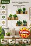 20X30 cm 3 Sheets Adhesive Wall Sticker with Plant Design and Shelf Decorative