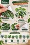 30X30 cm Potted Flower Plant Wall Sticker Set 8 Pieces Decorative Laser Cut - 5
