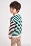 Green 100% Cotton Thick Boys' Striped Knitted Sweatshirt Tkdaw27Sw00063
