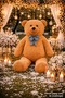 160 Giant Plush Bear Romantic Gift & Home, Cafe, Showcase Decoration