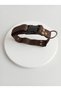 Dog Collar Adjustable Tiny & Small & Medium & Large Breed Collar Cord Dark Brown - 4