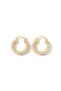 Special Series Zircon Stone Steel Hoop Earrings - Gift Boxed