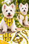 Adjustable Scarf, Chest Harness and Travel Strap Set of 3