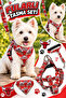Adjustable Scarf, Chest Harness and Travel Strap Set of 3