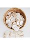 Round Side Drilled 20 mm Flake Beads Natural Stone (30 Pieces)