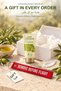 D'Olive Olive Oil Nourishing Hand & Body Cream 20 ml X 1 Tube - 6