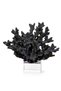Hakan Kaya Usta Eseri Vip Boxed 19.15 Gr. Yusur-İ (Black Coral) - 6