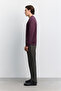 Men's Burgundy Crew Neck 3 Thread Threaded -4 Degree Resistant Regular Fit Sweatshirt A62Y1291 - 3