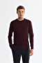 Men's Burgundy Crew Neck Textured Knitwear Regular Fit Sweater E005109