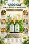 Eucalyptus & Peppermint 100% Pure and Natural Essential Oil Set of 2 2X10 ml Glass Dropper Bottles (Eucalyptus & Peppermint Essential Oil) - 3