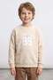 3 İplik Soccer League Printed Boys' Sweatshirt - 2