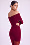 Madonna Collar Lined Mini Dreamer Dress Claret Red - 4