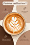 Cocoa Chicory Coffee Prebiotic-High Fiber |   Herbal 80% Chicory 20% Cocoa Coffee 100g Glass Jar - 5