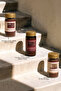 Cocoa Chicory Coffee Prebiotic-High Fiber |   Herbal 80% Chicory 20% Cocoa Coffee 100g Glass Jar - 7