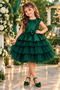 Girl's Green Birthday Special Day Children's Evening Dress Sequined Dress - 3