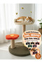 Cat Scratching Post Bouncy Cat Bed with Play Platform Cat House and Scratching Area Scratching with Daisy and Bee