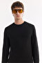 Men's Black Crew Neck Easy-Iron Anti-Wrinkle Regular Fit Sweater A61Y5002 - 3