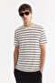 Men's Ecru Crew Neck Striped Soft Touch Regular Fit T-Shirt A61Y1087 - 5