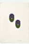 Hand Knitted 3-Piece Floral Cluster and Snap Buckle - 3