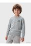 Alita City Lcw Kids Gray Oval Collar Printed Boys' Knit Sweater