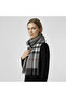 Classic Plaid Tasseled Women's Scarf & Shawl (50X190 cm) - 3