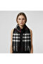 Classic Plaid Tasseled Women's Scarf & Shawl (50X190 cm) - 4