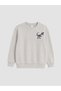 Gray Dinosaur Printed Boys' Tracksuit Set - 4