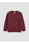 Burgundy Dinosaur Printed Boys' Tracksuit Set - 2