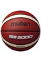B5G3000 Baschet - 2