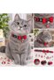 New Year's Object Neck Cat Collar with Snow Pattern Figures, 1 Piece Is Sent.