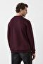 Elion Men's V-Neck Burgundy Sweatshirt - 7