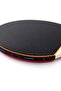 Professional Table Tennis Racket Set with Bag 2 Rackets 2 Balls R409 - 6