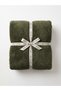 Welsoft Fine Striped Tv Blanket, Green (Single)