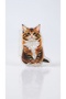 Cat Figured Peg Buckle 8–9 cm (1 Piece) - 8